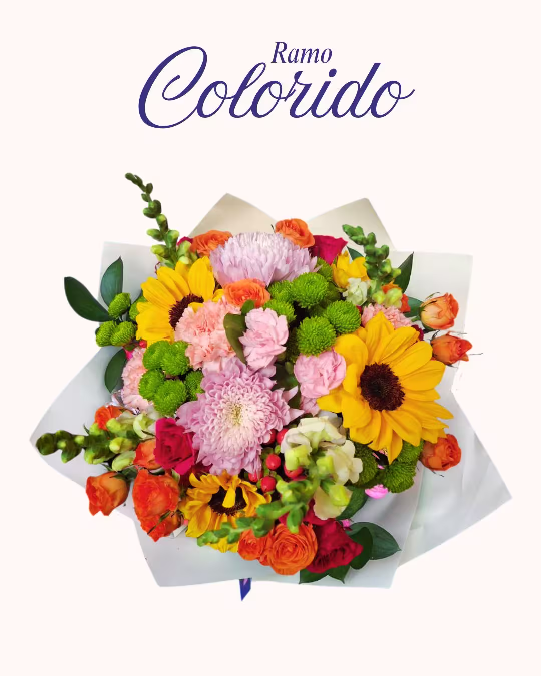 Ramo Coloridos